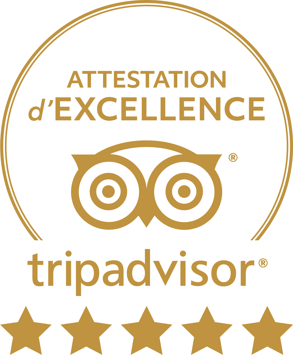 tripadvisor